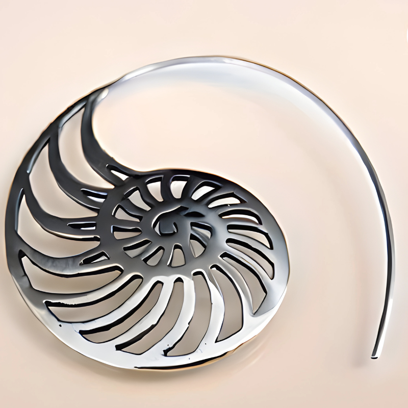 Levoire | Kierteinen Coquille Créole Boucles D'Oreilles