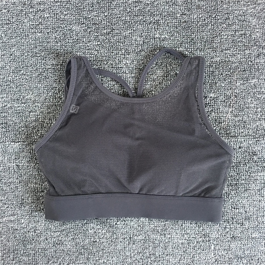 Levoire | Brassière De Sport Noire Sans Couture Gris