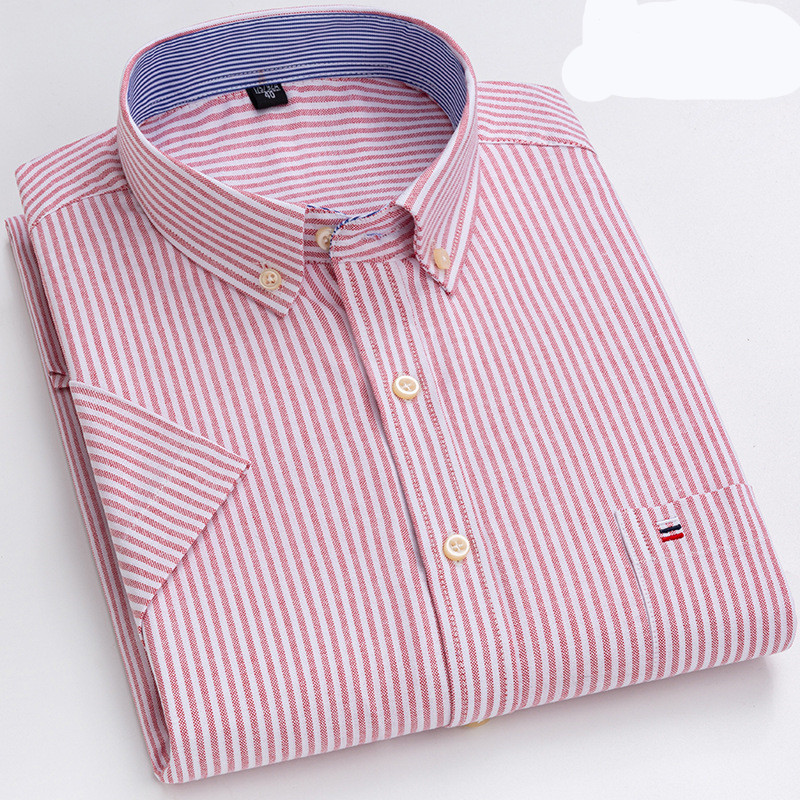 Levoire | Chemise Classique Pour Homme Pourriture 1