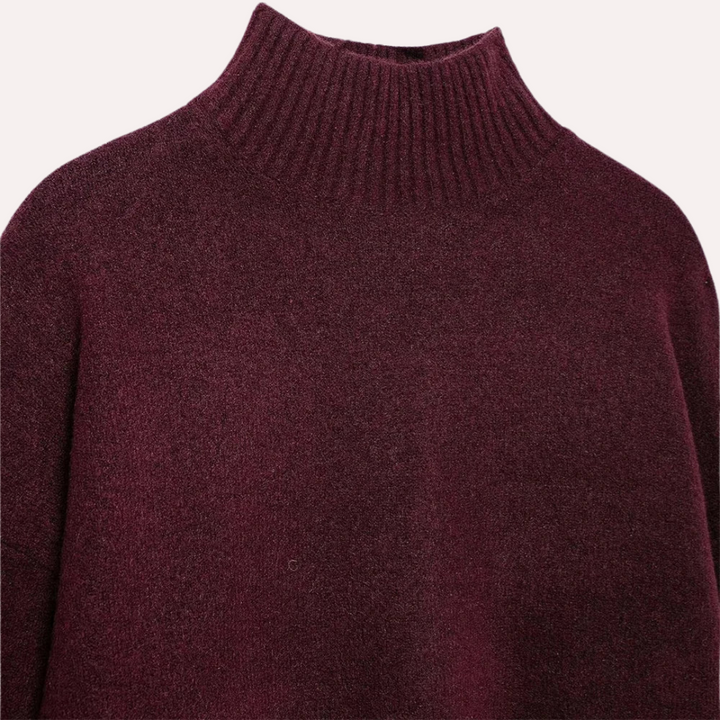 Levoire | Burgundy Pull Avec Col Haut