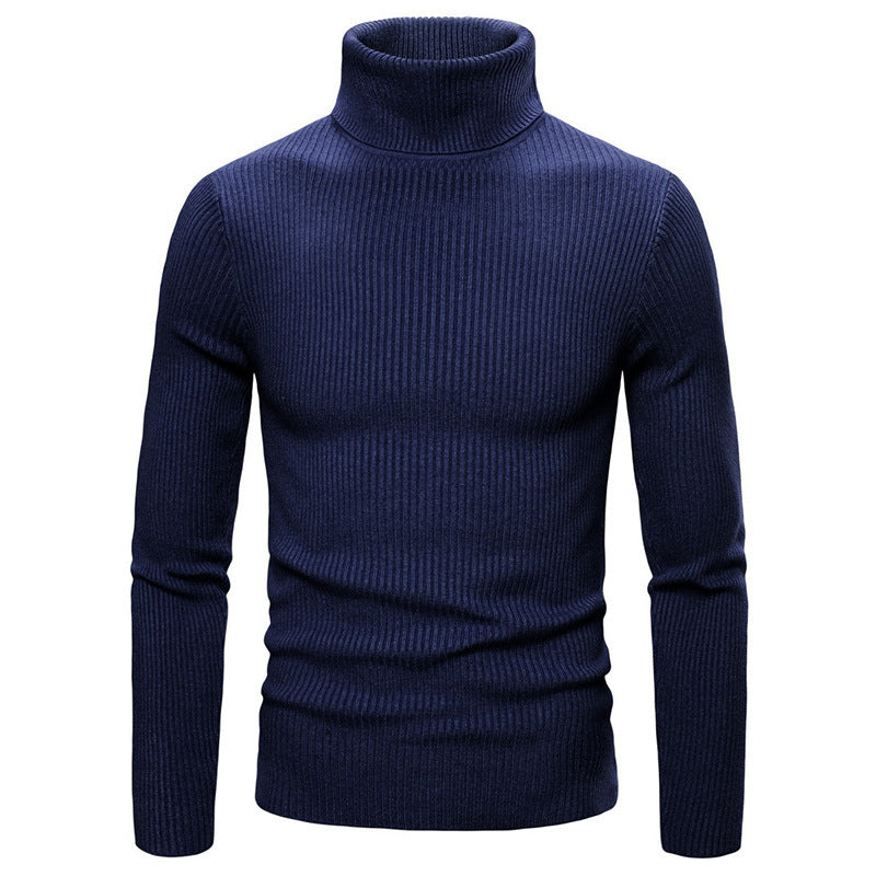 Pull à col roulé pour femmes en tricot fin avec des structures en côtes sophistiquées Levoire