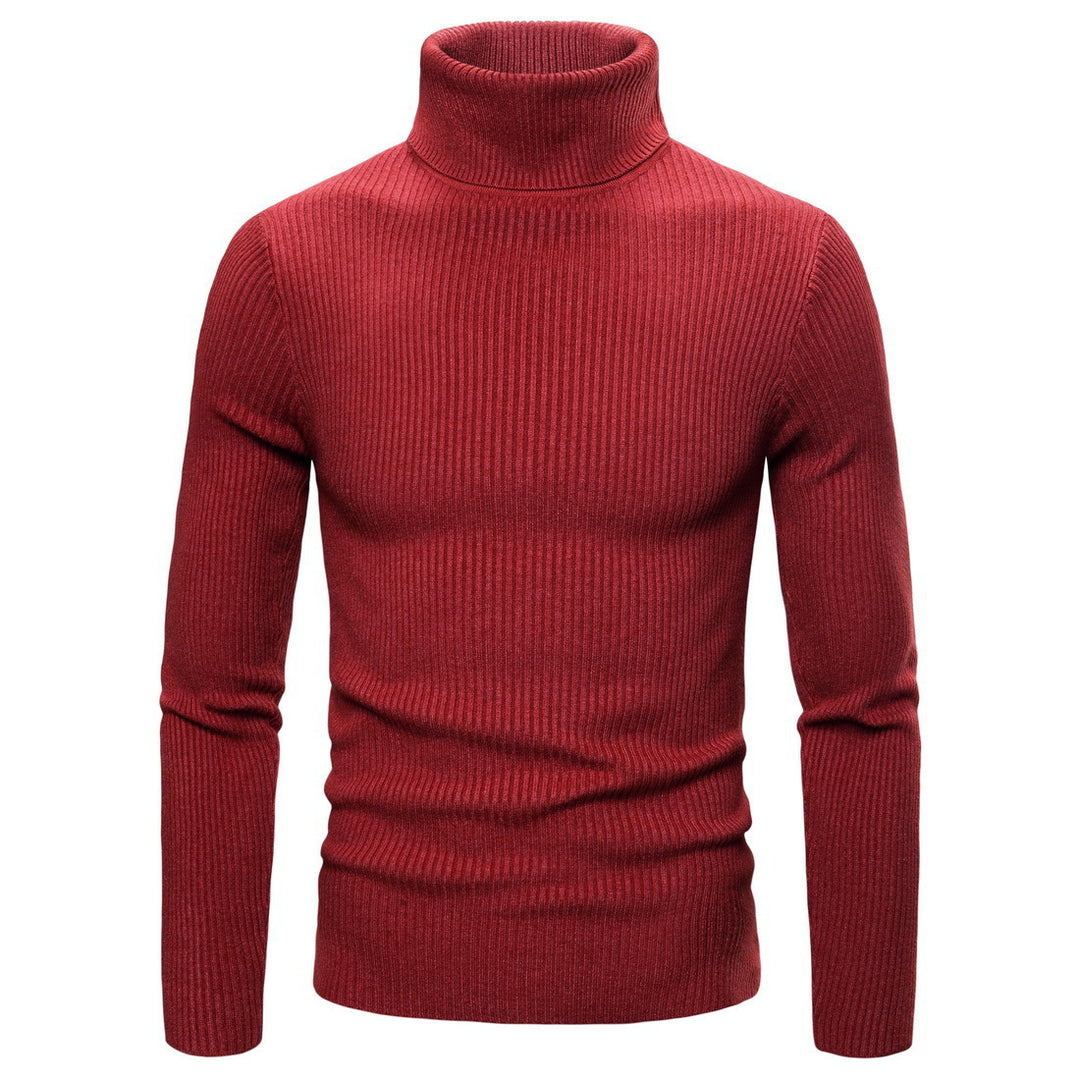 Pull à col roulé pour femmes en tricot fin avec des structures en côtes sophistiquées Levoire