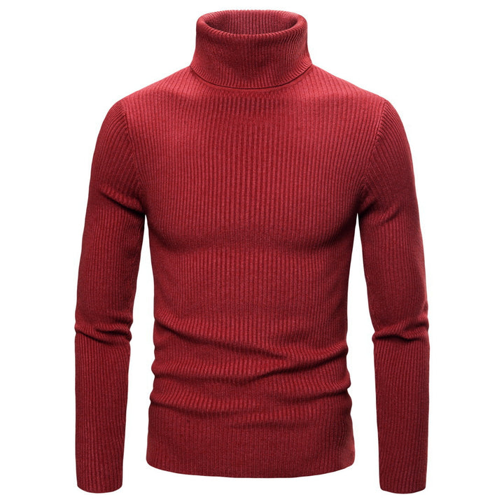 Pull à col roulé pour femmes en tricot fin avec des structures en côtes sophistiquées Levoire