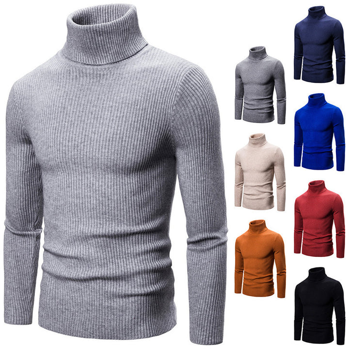 Pull à col roulé pour femmes en tricot fin avec des structures en côtes sophistiquées Levoire