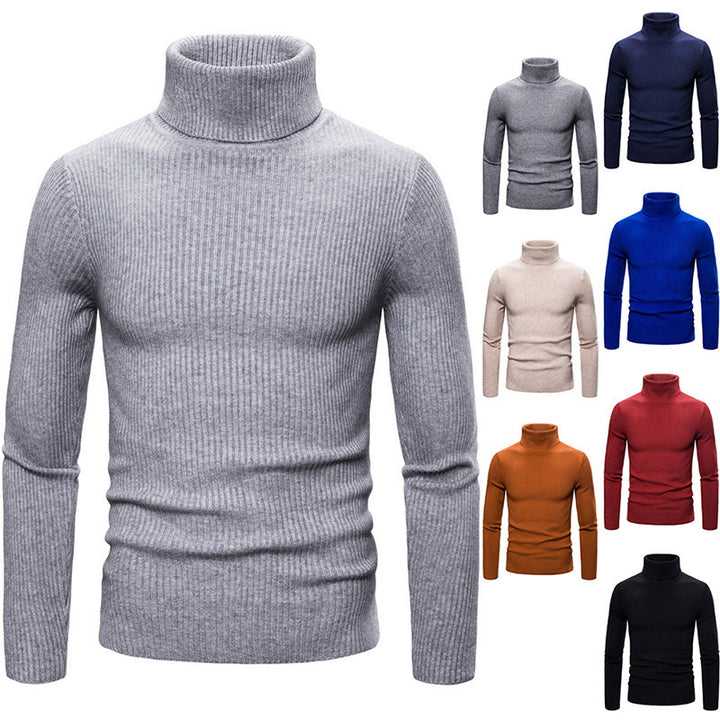 Pull à col roulé pour femmes en tricot fin avec des structures en côtes sophistiquées Levoire