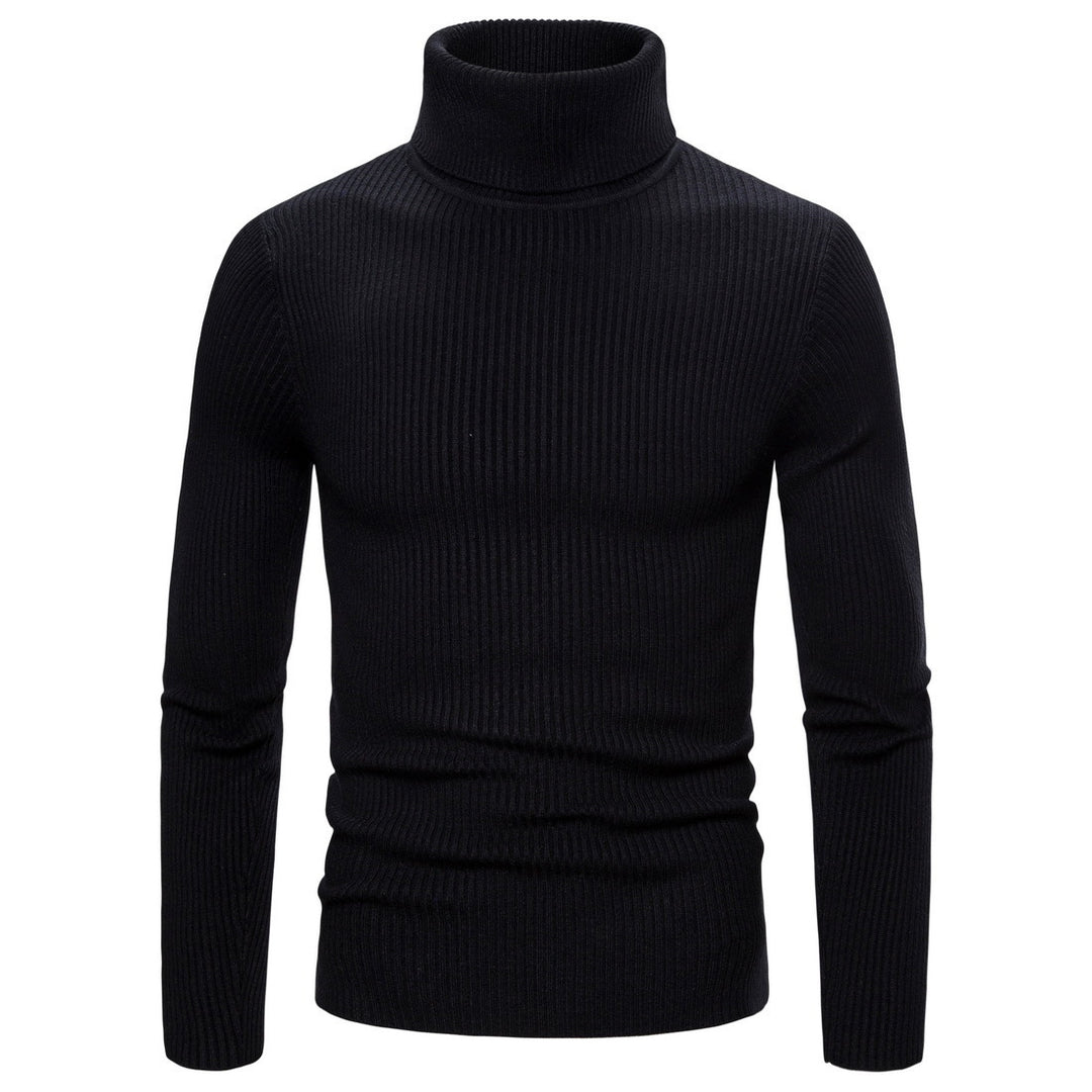 Pull à col roulé pour femmes en tricot fin avec des structures en côtes sophistiquées Levoire