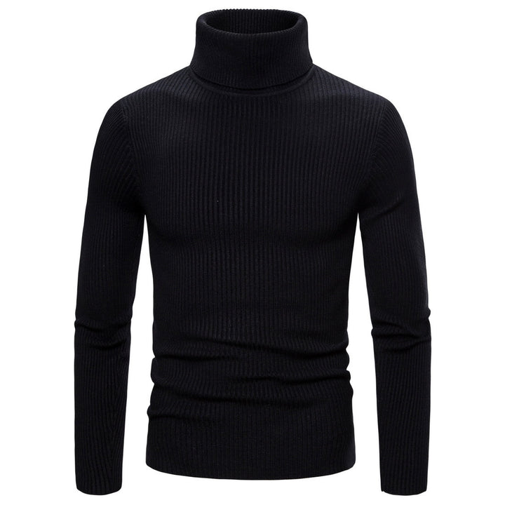 Pull à col roulé pour femmes en tricot fin avec des structures en côtes sophistiquées Levoire