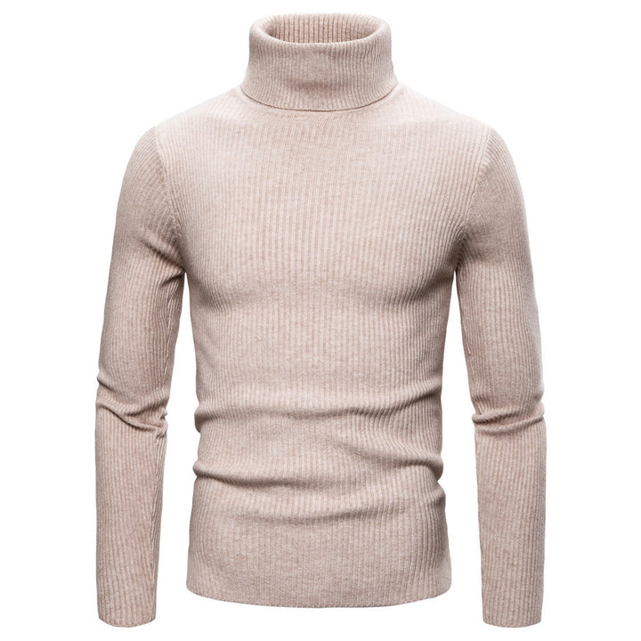 Pull à col roulé pour femmes en tricot fin avec des structures en côtes sophistiquées Levoire
