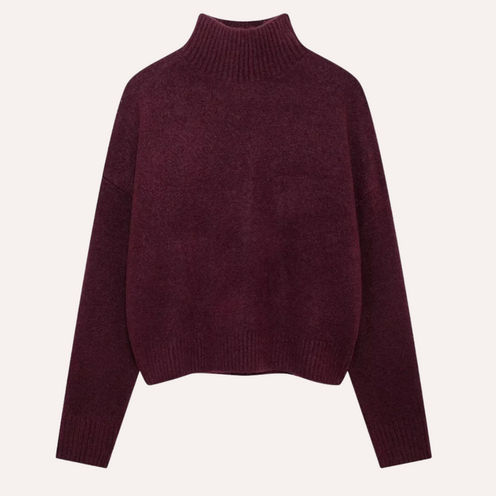 Levoire | Burgundy Pull Avec Col Haut