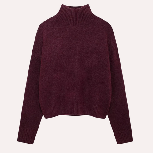 Levoire | Burgundy Pull Avec Col Haut