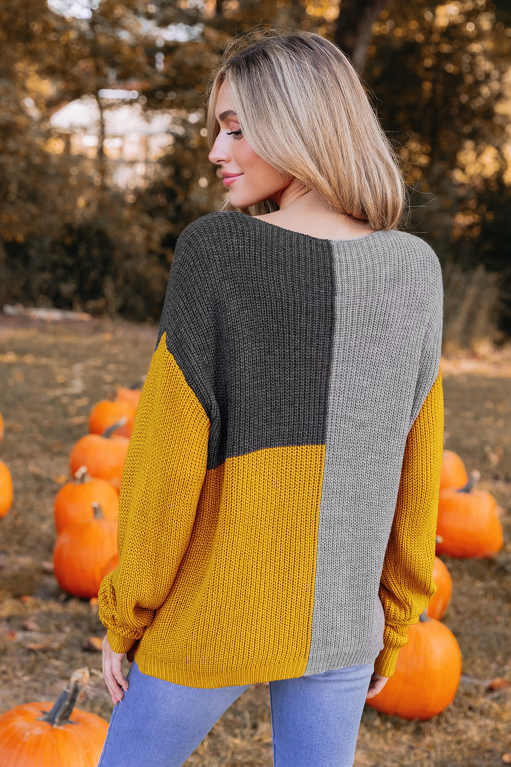 Levoire | Pull En Tricot Confortable & Jeu De Couleurs Stylé