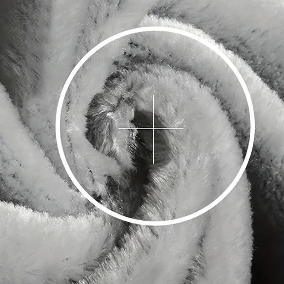 Levoire | Veste À Manches Longues Avec Doublure En Polaire, Capuche Et Fermeture Éclair