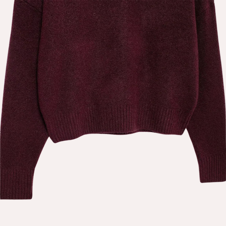 Levoire | Burgundy Pull Avec Col Haut