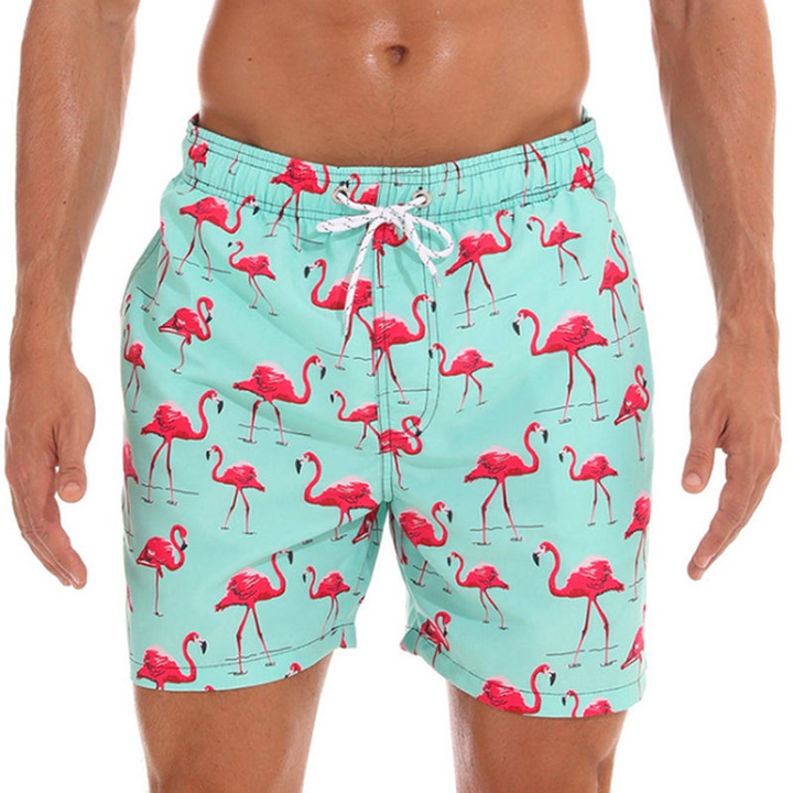 Levoire | Maillots de bain pour hommes Shorts de bain élégants pour hommes Vert & Flamant