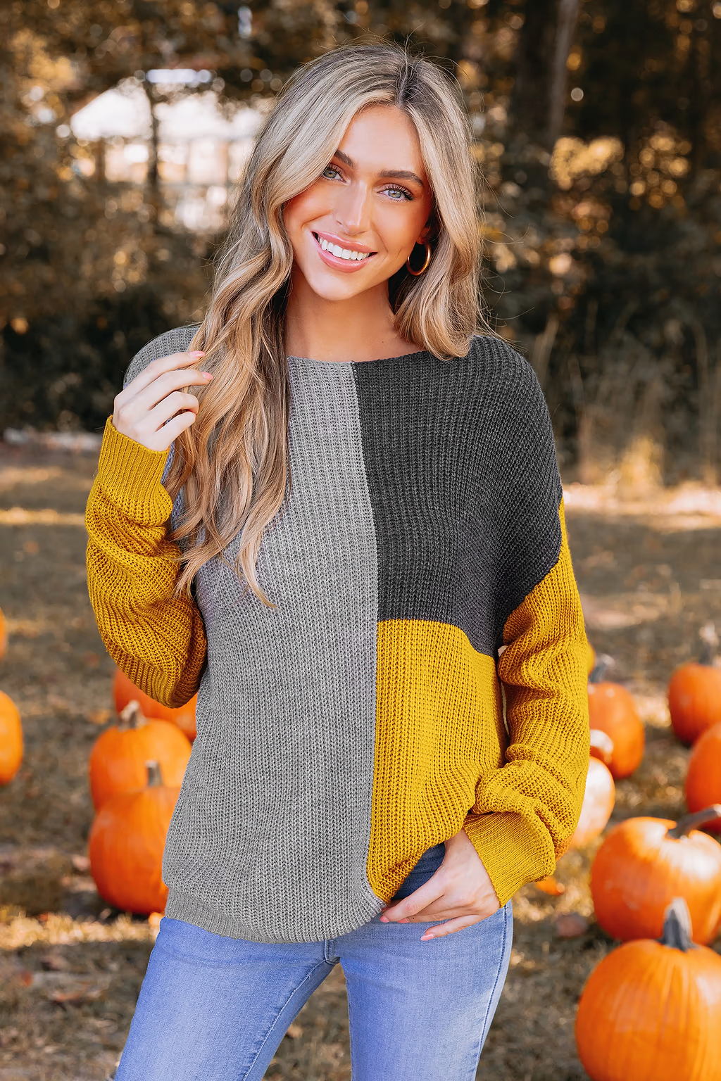 Levoire | Pull En Tricot Confortable & Jeu De Couleurs Stylé