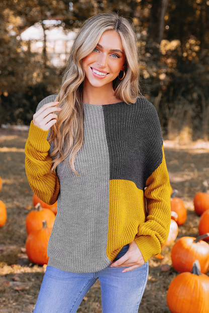 Levoire | Pull En Tricot Confortable & Jeu De Couleurs Stylé