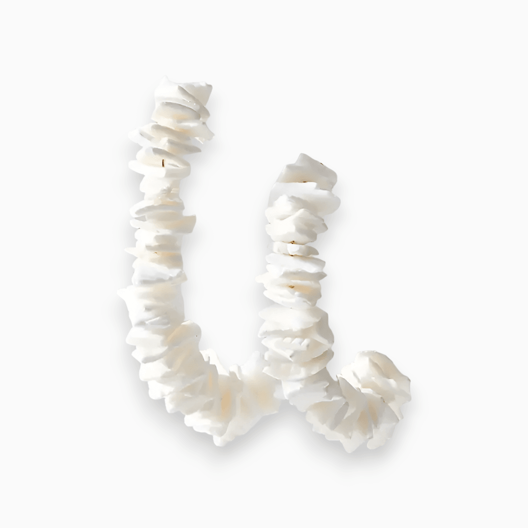 Levoire | Boucles D'Oreilles Élégantes En Coquillage Blanc