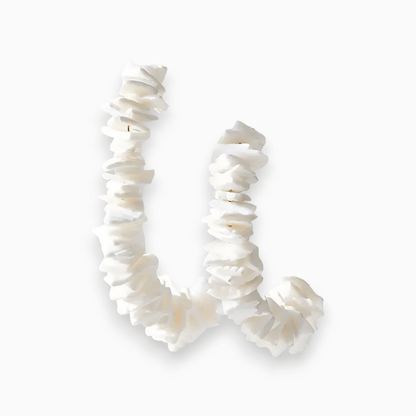 Levoire | Boucles D'Oreilles Élégantes En Coquillage Blanc