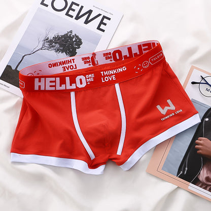 Levoire | Short De Boxeur Satz 6-Pack Noir + 2 Gratuits (Un peu restant)