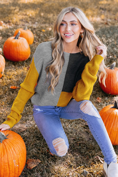 Levoire | Pull En Tricot Confortable & Jeu De Couleurs Stylé