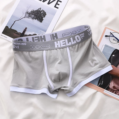 Levoire | Short De Boxeur Satz 6-Pack Gris + 2 Gratuits