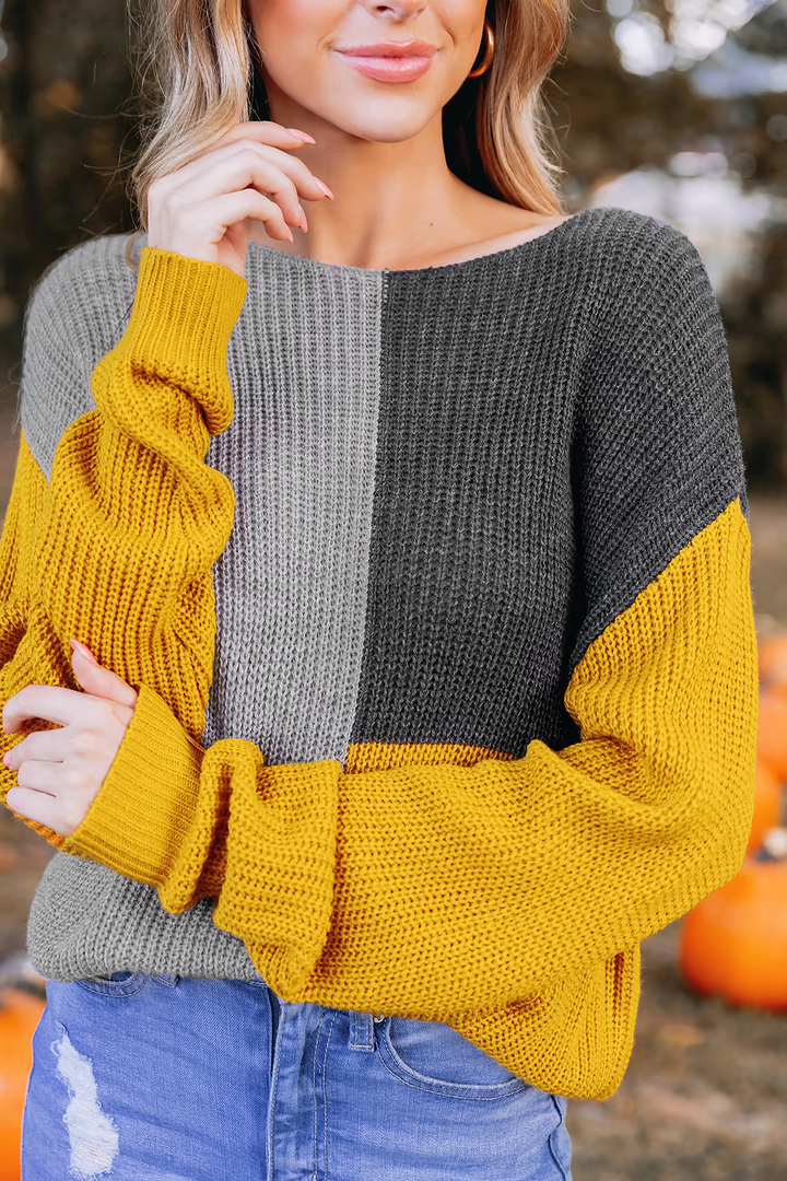 Levoire | Pull En Tricot Confortable & Jeu De Couleurs Stylé