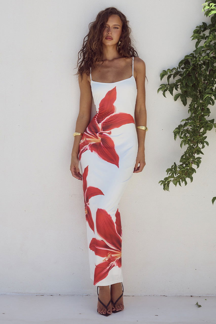 Levoire | Robe Ajustée Avec Motif Floral Blanc-Rouge