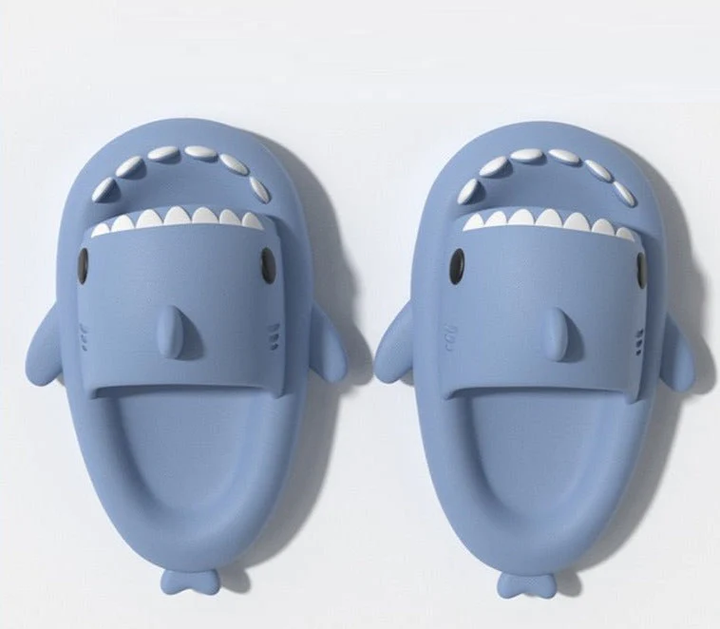Levoire | Chaussons Requin Bleu