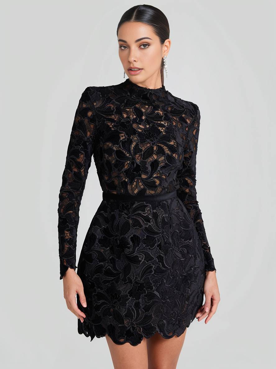 Levoire | Petite Robe En A En Dentelle Avec Broderie Anglaise, Col Rond, Manches Longues, Élégante Robe De Soirée Cocktail Pour Femmes