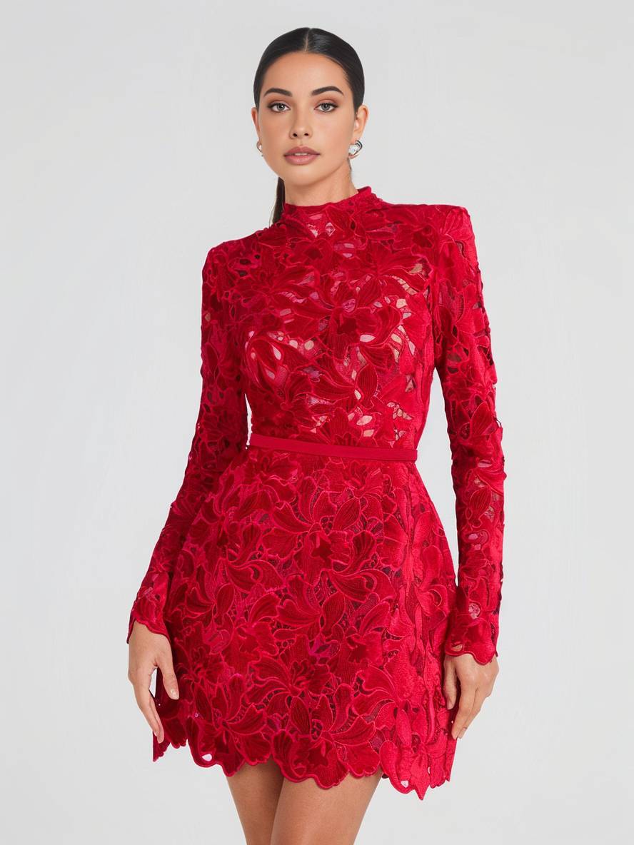 Levoire | Petite Robe En A En Dentelle Avec Broderie Anglaise, Col Rond, Manches Longues, Élégante Robe De Soirée Cocktail Pour Femmes
