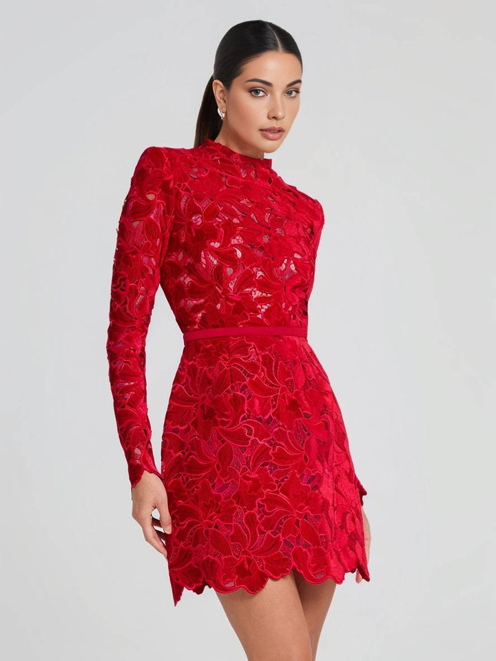 Levoire | Petite Robe En A En Dentelle Avec Broderie Anglaise, Col Rond, Manches Longues, Élégante Robe De Soirée Cocktail Pour Femmes