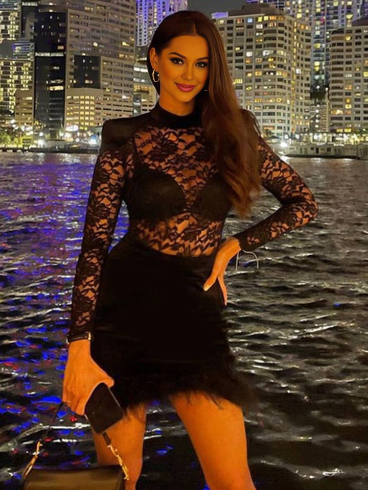 Levoire | Robe Courte À La Forme Cintrée En Dentelle Col Roulé Velours Plume Manches Longues Femmes Loisirs Élégant Décontracté Cocktail