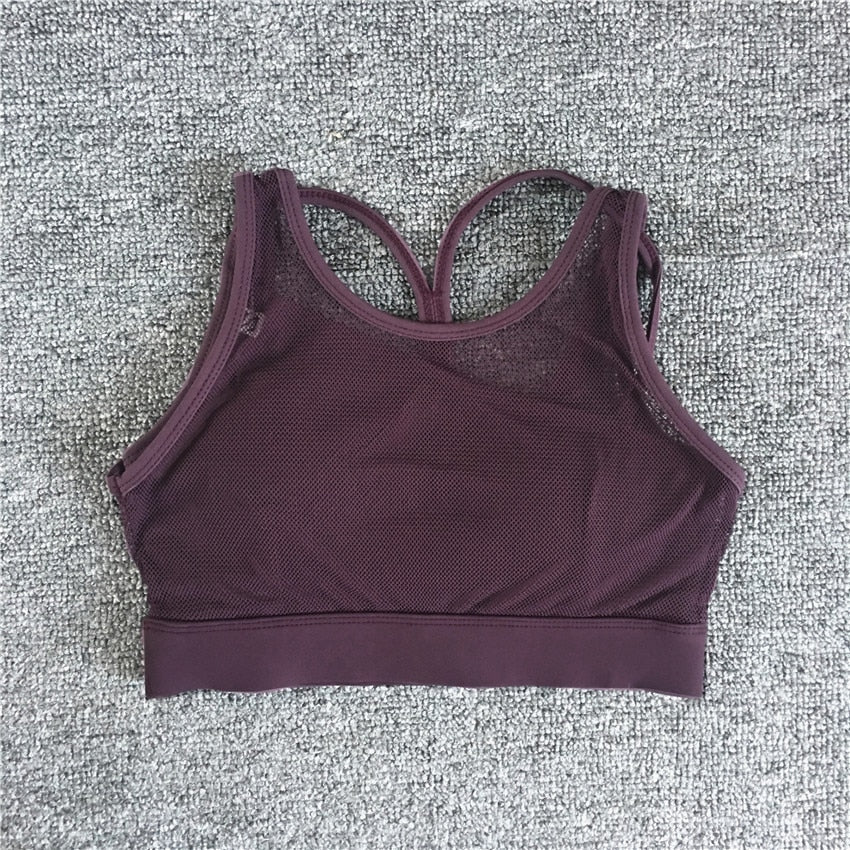 Levoire | Brassière De Sport Noire Sans Couture Lila