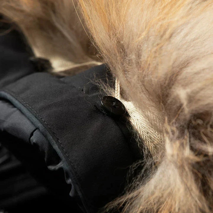 Levoire | Hoodie Pour Hommes