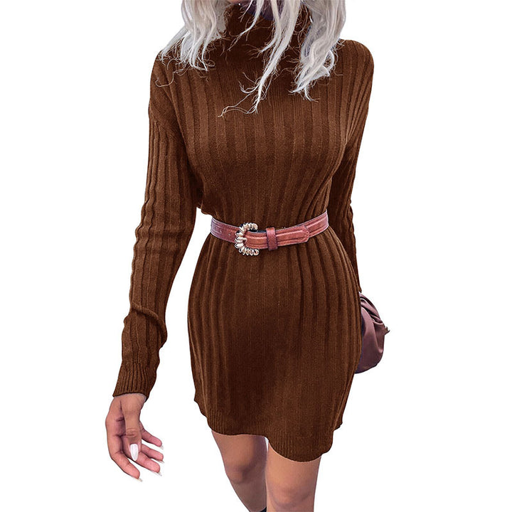 Robe en tricot surdimensionnée pour femmes avec col haut et design vertical fin Levoire