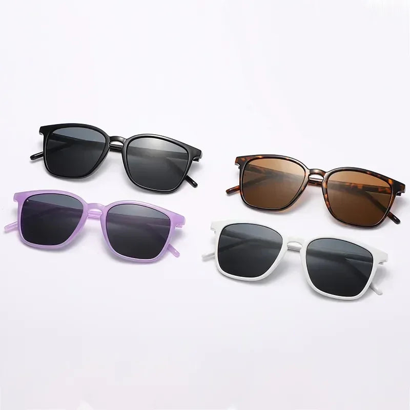 Levoire | Lunettes Cat-Eye Pour Femmes