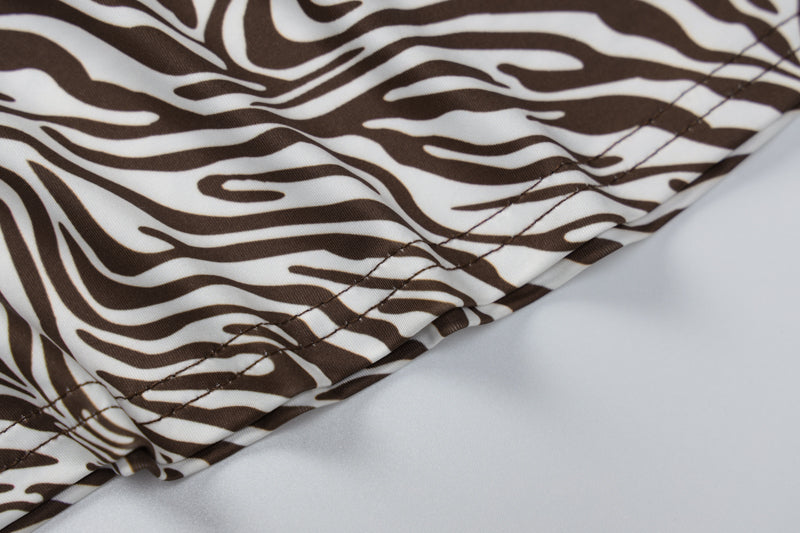 Levoire | Robe Maxi Décontractée À Imprimé Zèbre