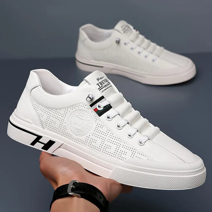 Levoire | Édition Limitée Chaussures De Loisirs Empire Coin