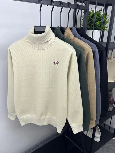 Levoire | Pull Col Roulé Luxueux Pour Homme