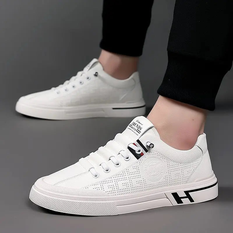 Levoire | Édition Limitée Chaussures De Loisirs Empire Coin