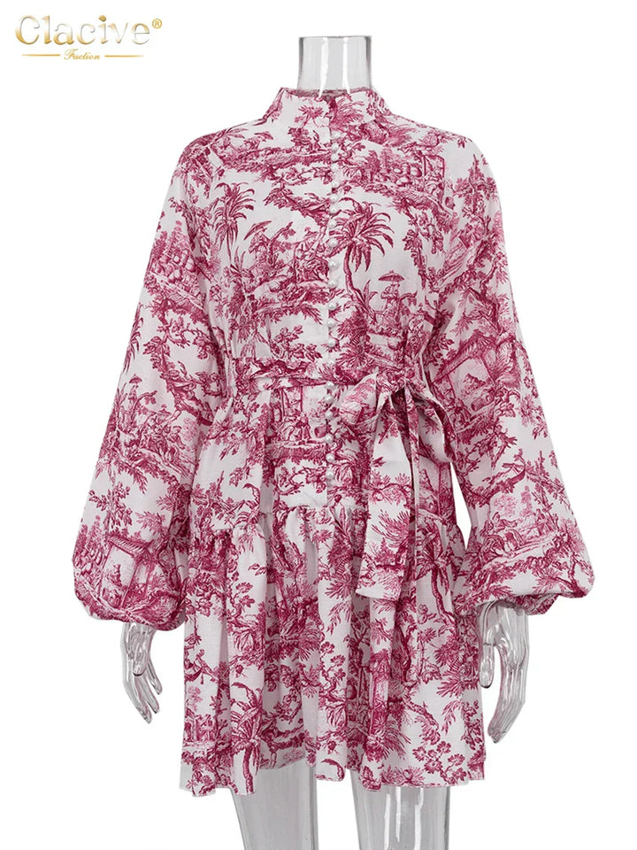 Levoire | Robe Femme Délicieuse Avec Impression, Robe Mini Moderne À Col Haut Avec Manches Bouffantes Rot