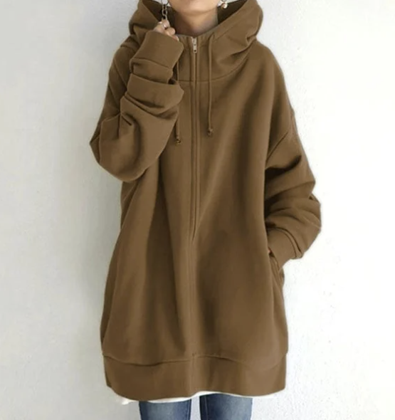 Levoire | Pull Élégant Avec Capuche Et Zip Braun