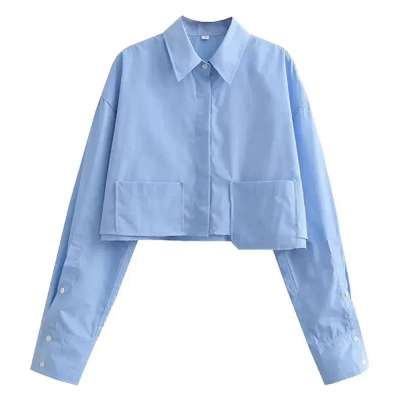 Levoire | Chemisier À Manches Longues Pour Femmes Élégante Blouse À Boutons Bleu clair