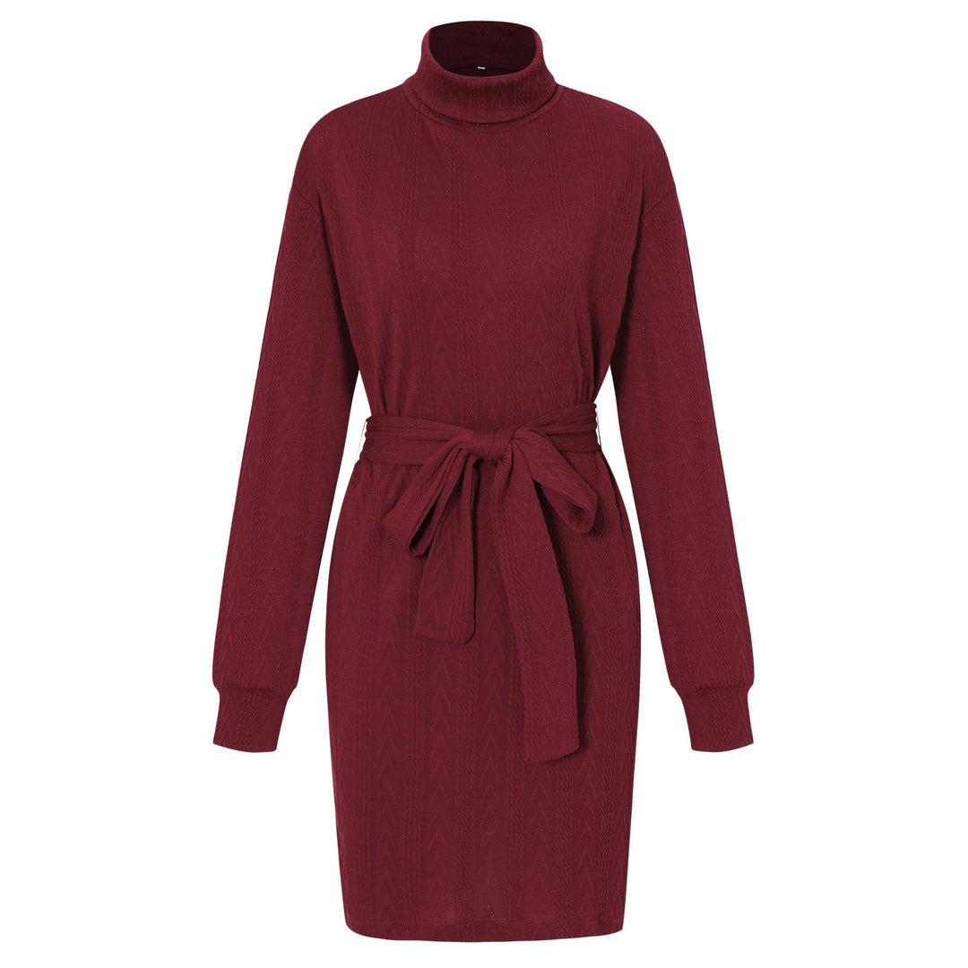 Levoire | Robe Mini Ceinturée Col Roulé Vin rouge