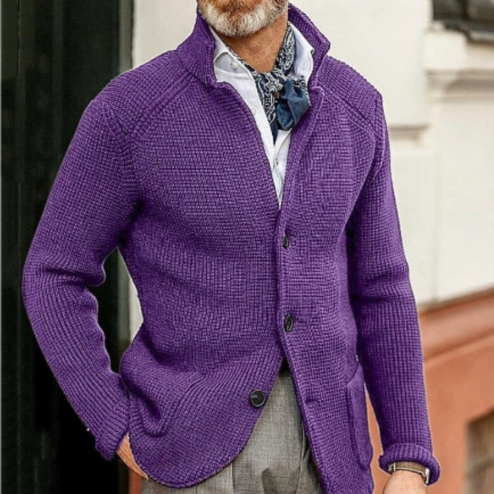 Levoire | Gilet Tricoté Chaud Pour Homme Violet