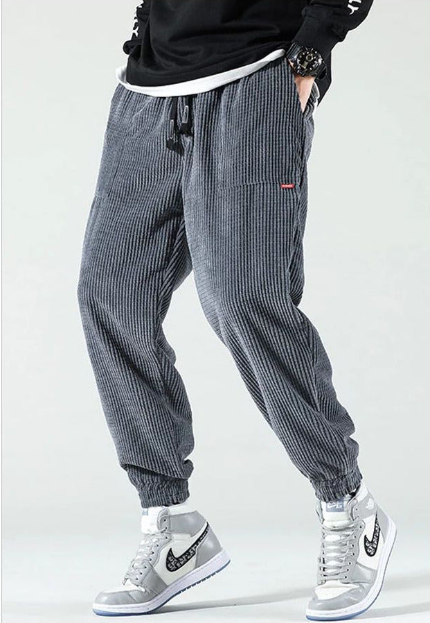 Levoire | Modernité pantalons Gris