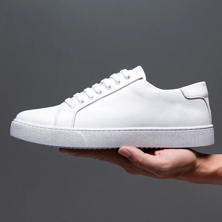 Levoire | Baskets En Cuir Pour Homme Blanc