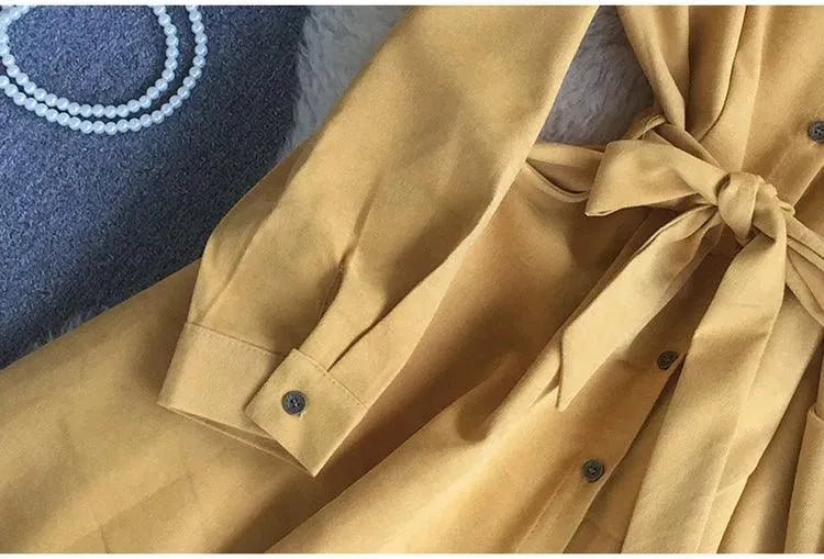 Levoire | Chemise Robe