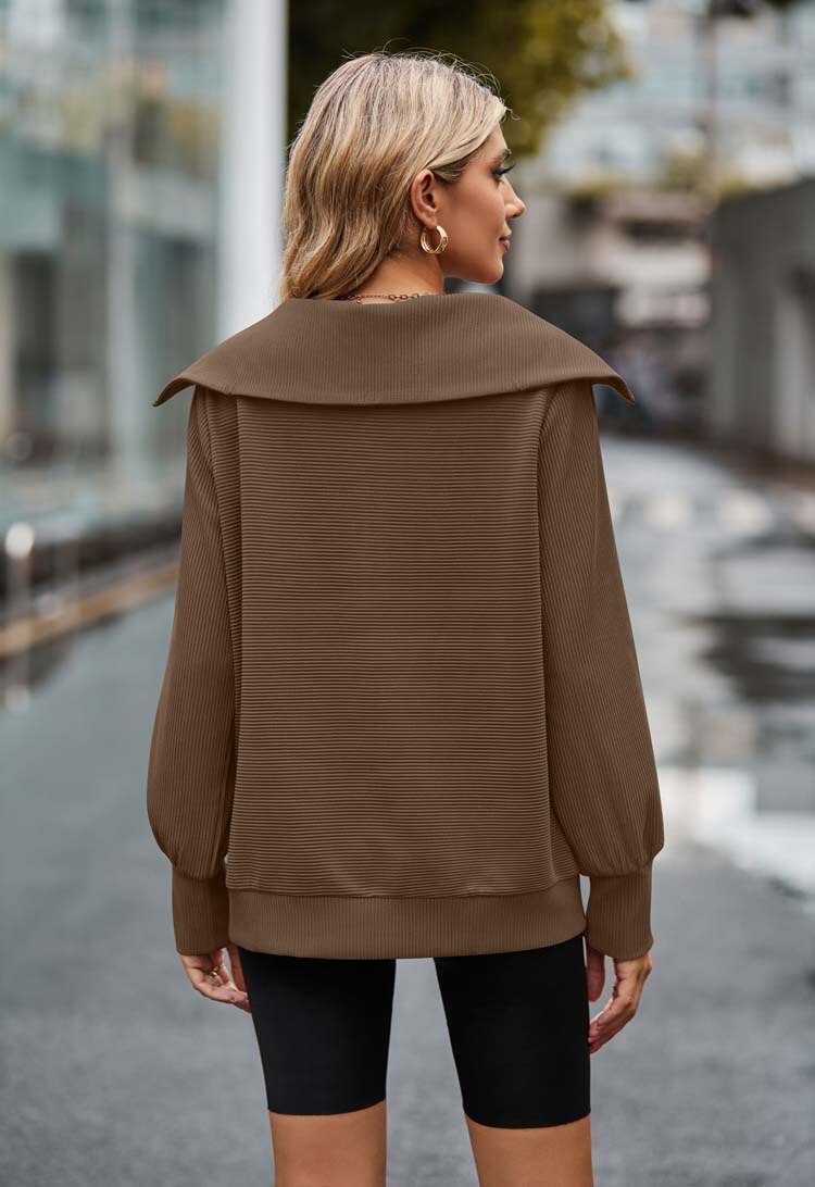 Levoire | Pull Brun Foncé Avec Fermeture Éclair