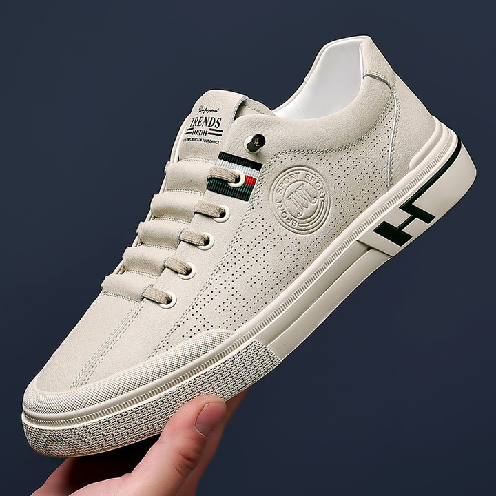 Levoire | Édition Limitée Chaussures De Loisirs Empire Coin